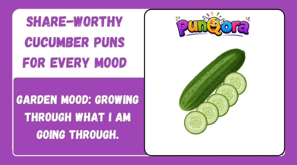 Share-Worthy Cucumber Puns for Every Mood