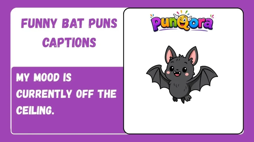 Funny Bat Puns Captions
