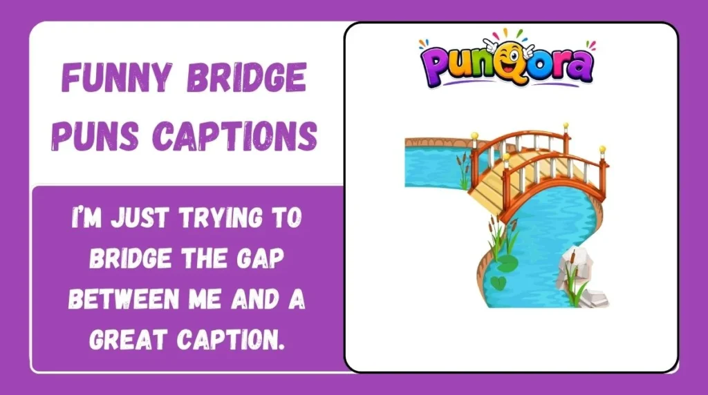 Funny Bridge Puns Captions