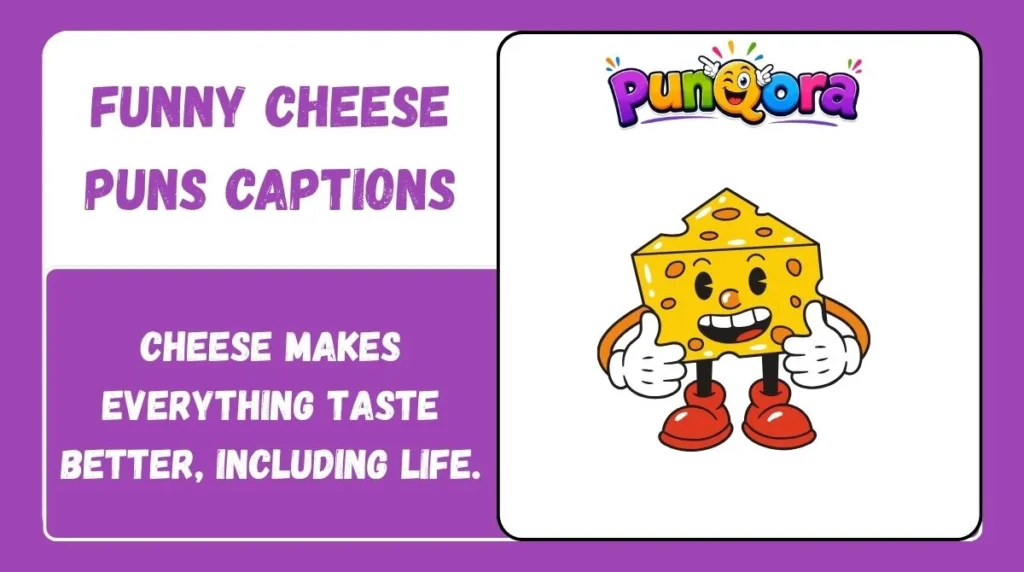 Funny Cheese Puns Captions