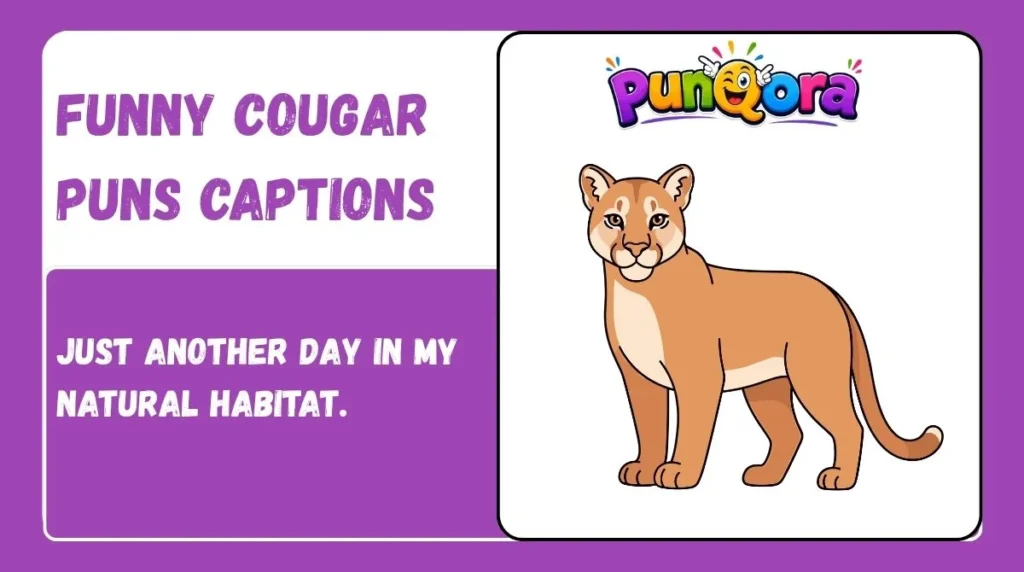 Funny Cougar Puns Captions