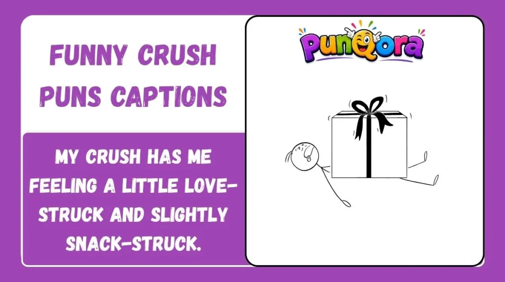 Funny Crush Puns Captions