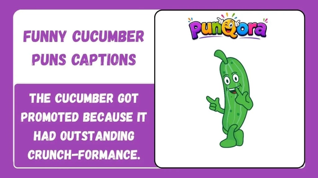 Funny Cucumber Puns Captions
