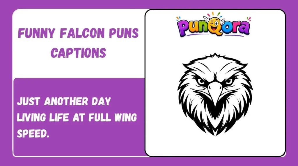 Funny Falcon Puns Captions
