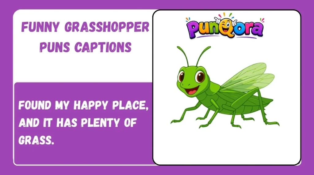 Funny Grasshopper Puns Captions