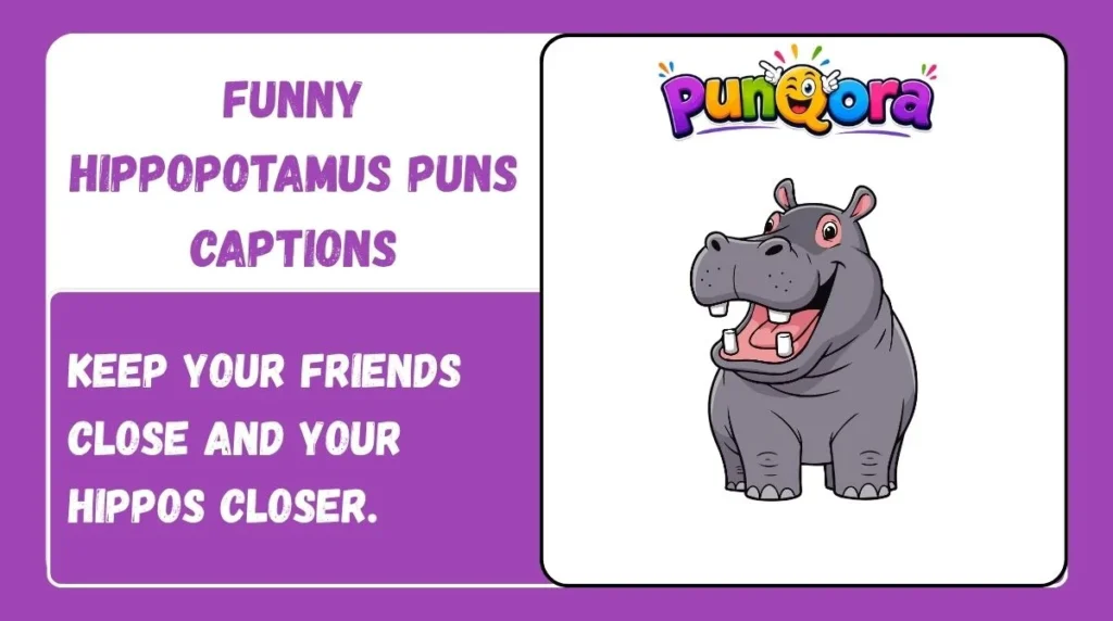Funny Hippopotamus Puns Captions