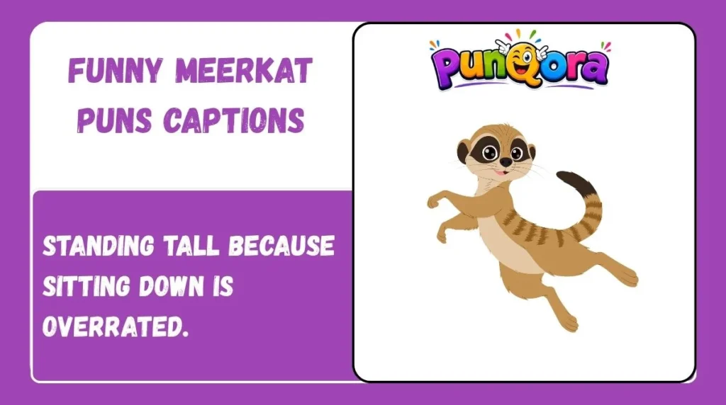 Funny Meerkat Puns Captions