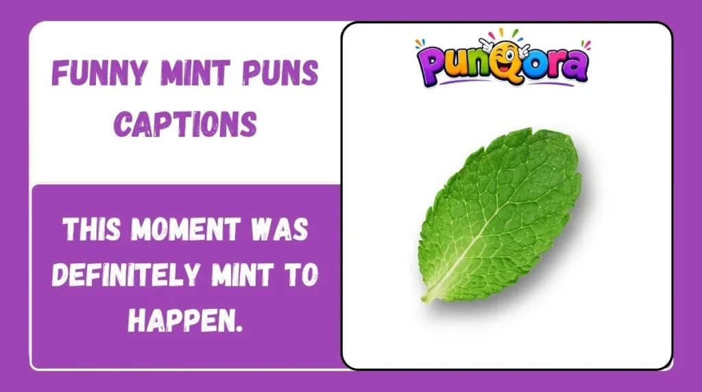 Funny Mint Puns Captions