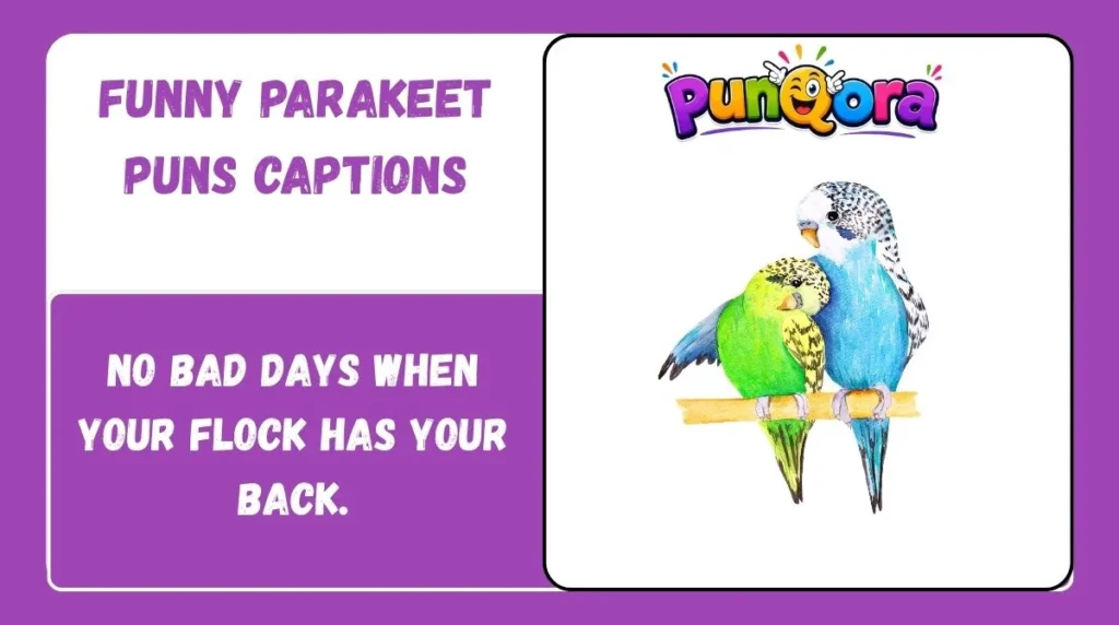 Funny Parakeet Puns Captions