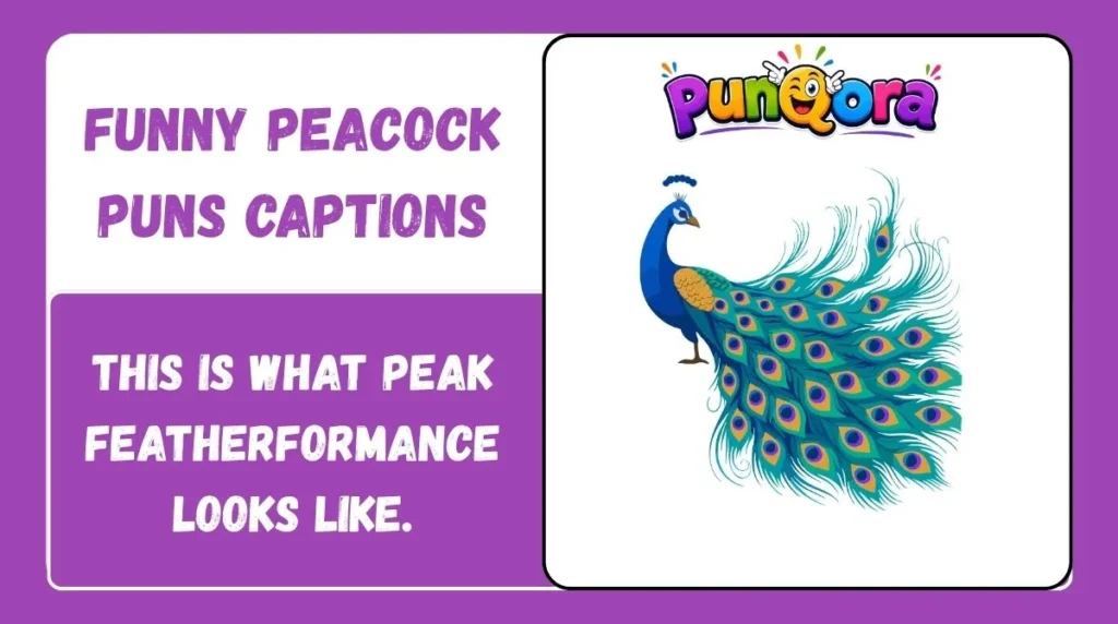 Funny Peacock Puns Captions