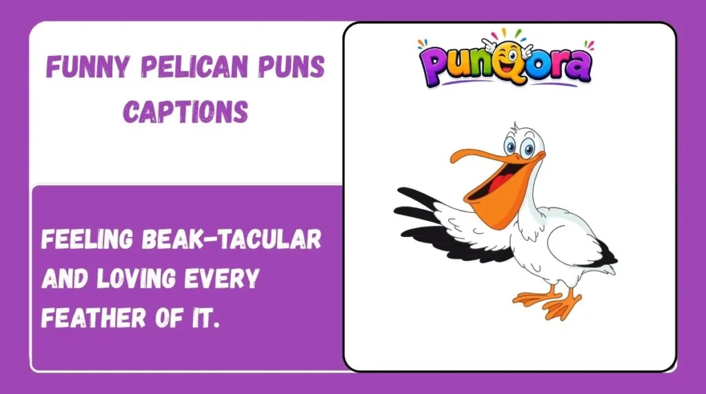 Funny Pelican Puns Captions