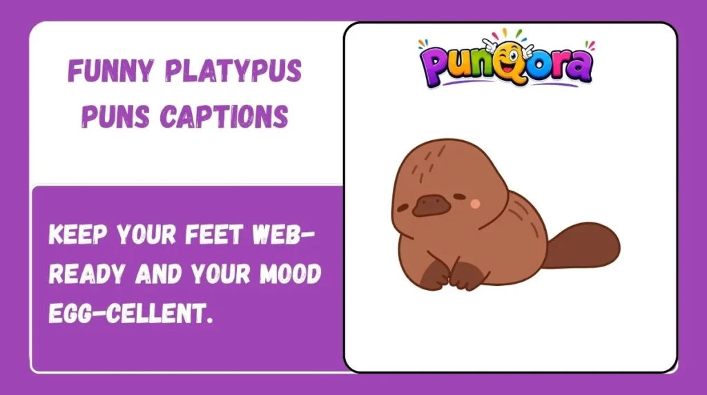 Funny Platypus Puns Captions