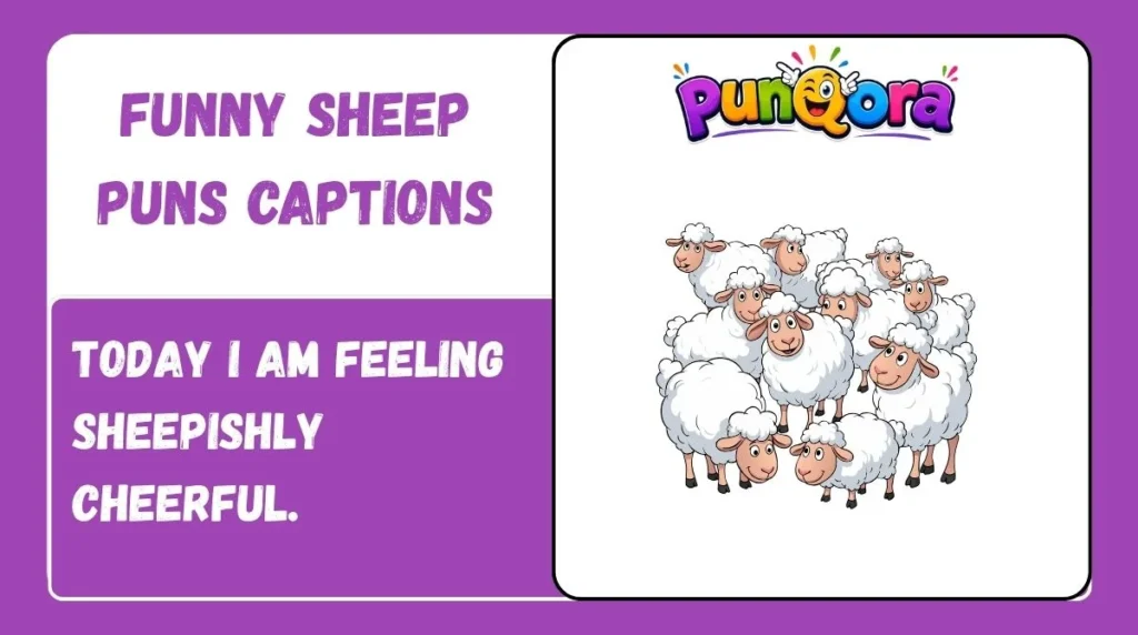 Funny Sheep Puns Captions