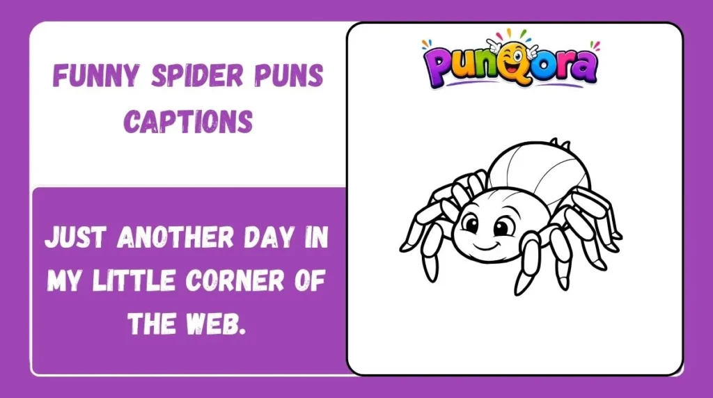 Funny Spider Puns Captions