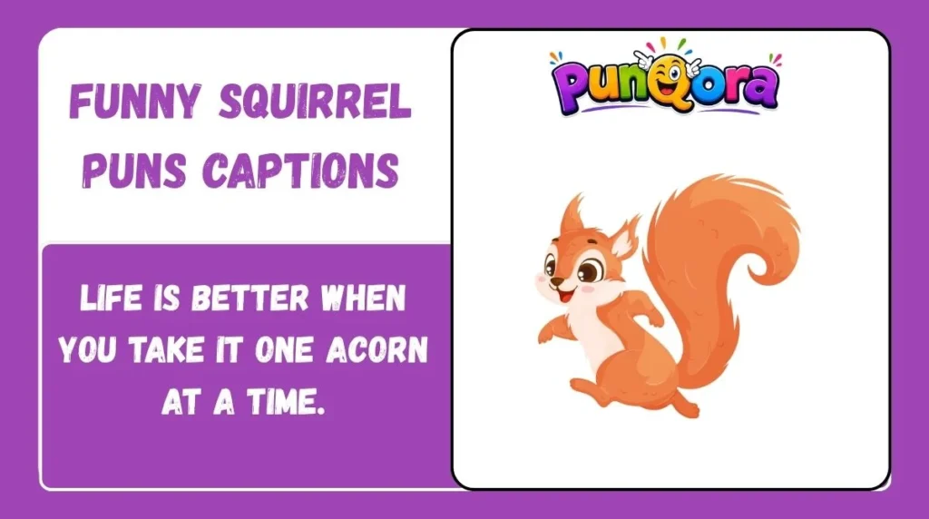Funny Squirrel Puns Captions