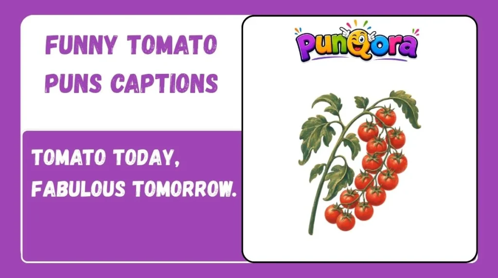 Funny Tomato Puns Captions