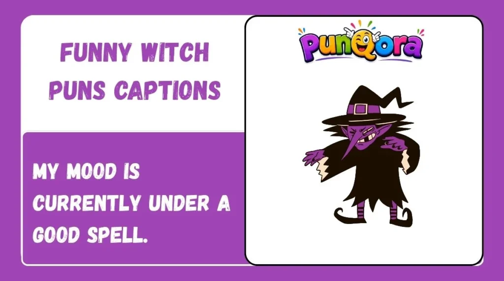 Funny Witch Puns Captions