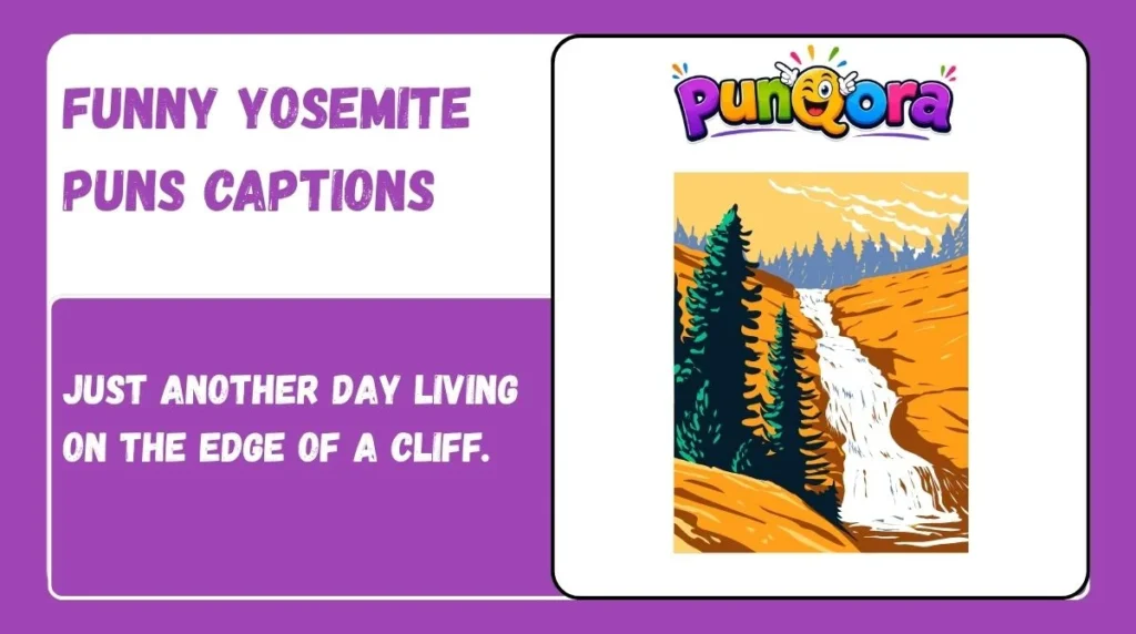 Funny Yosemite Puns Captions