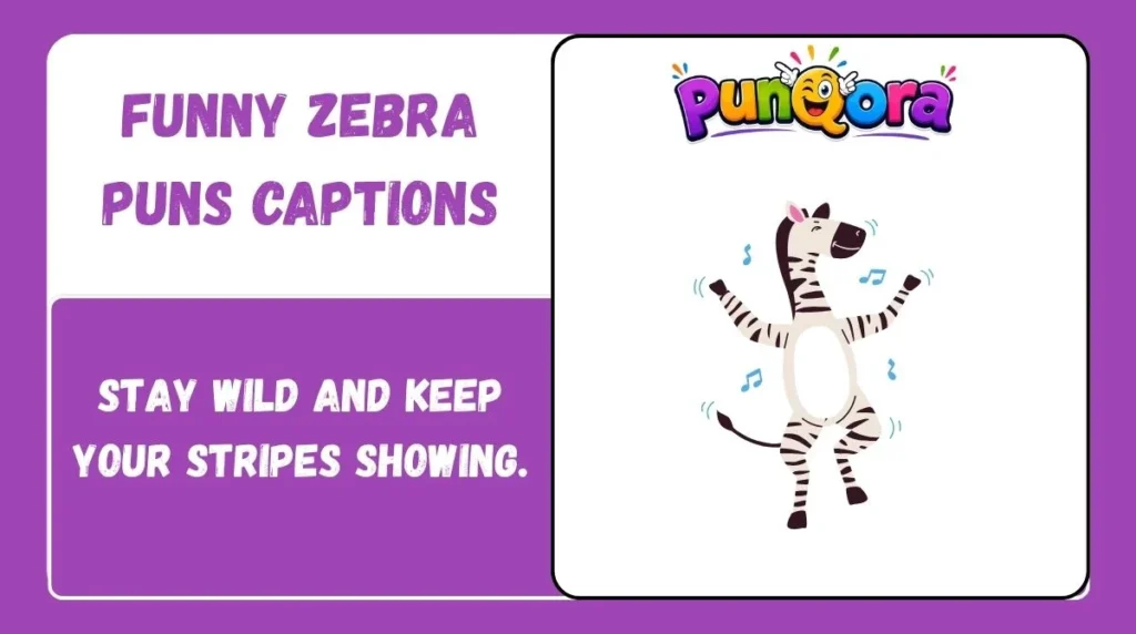 Funny Zebra Puns Captions
