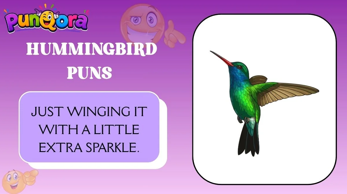 Funny Hummingbird Puns Captions