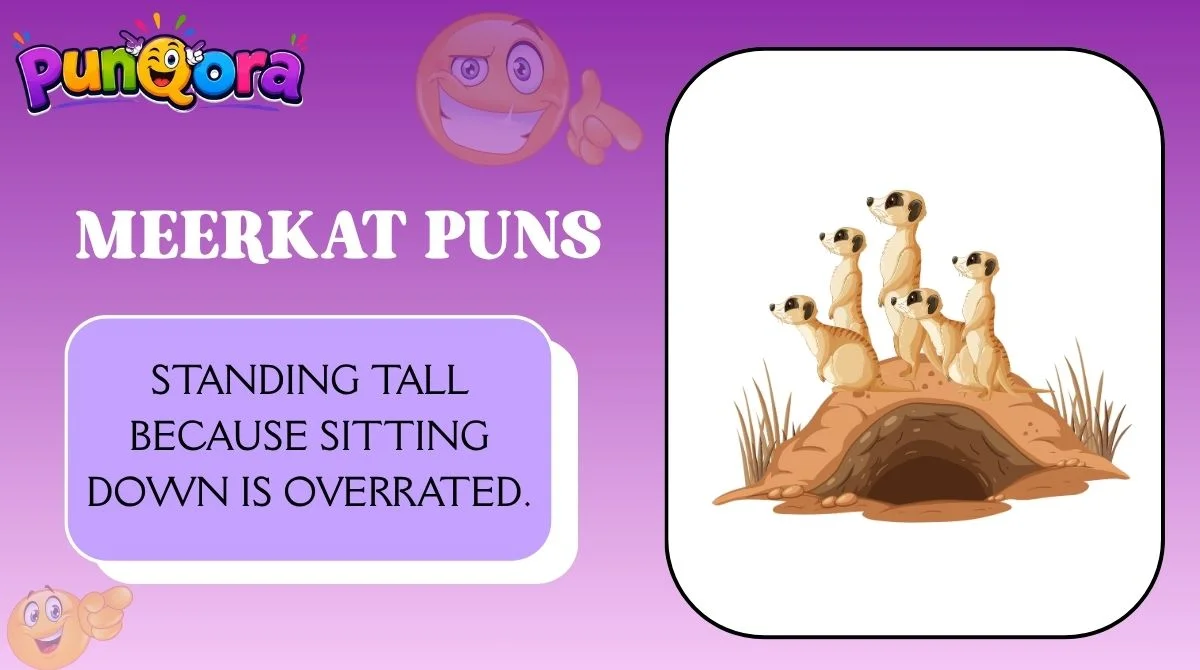 Meerkat Puns