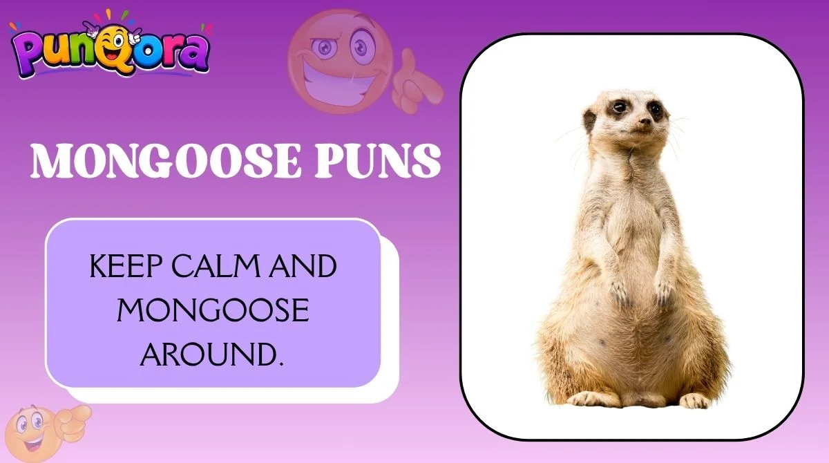 Mongoose Puns