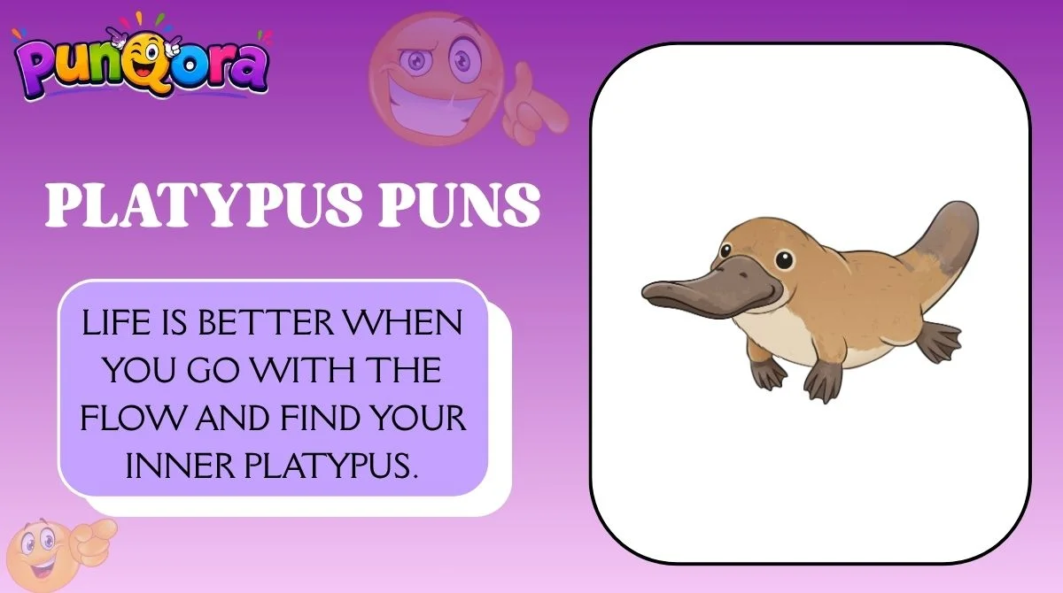 Platypus Puns