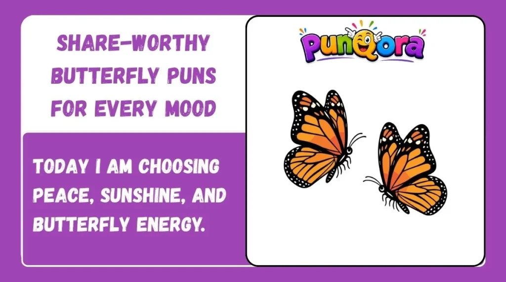 Share-Worthy Butterfly Puns for Every Mood