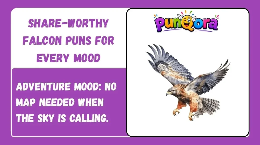 Share-Worthy Falcon Puns for Every Mood
