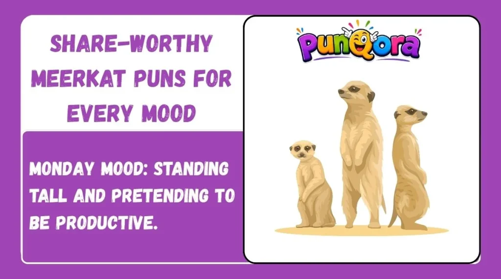 Share-Worthy Meerkat Puns for Every Mood