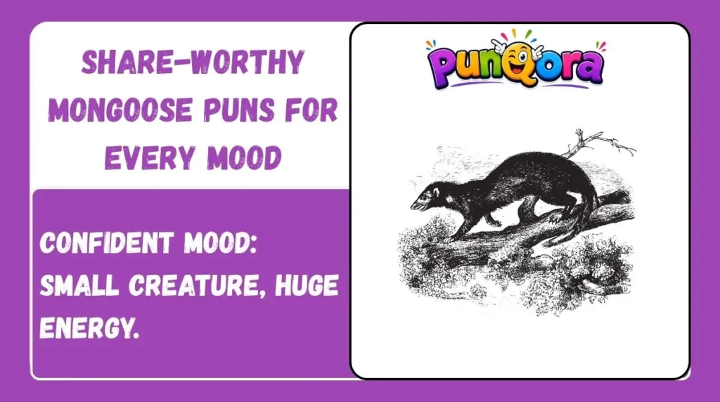 Share-Worthy Mongoose Puns for Every Mood