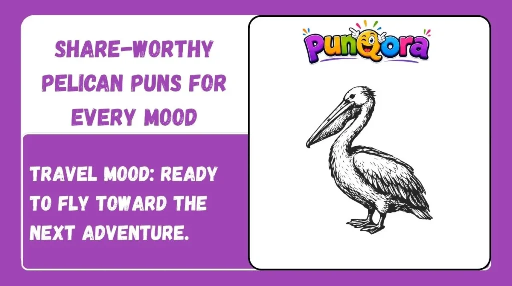 Share-Worthy Pelican Puns for Every Mood