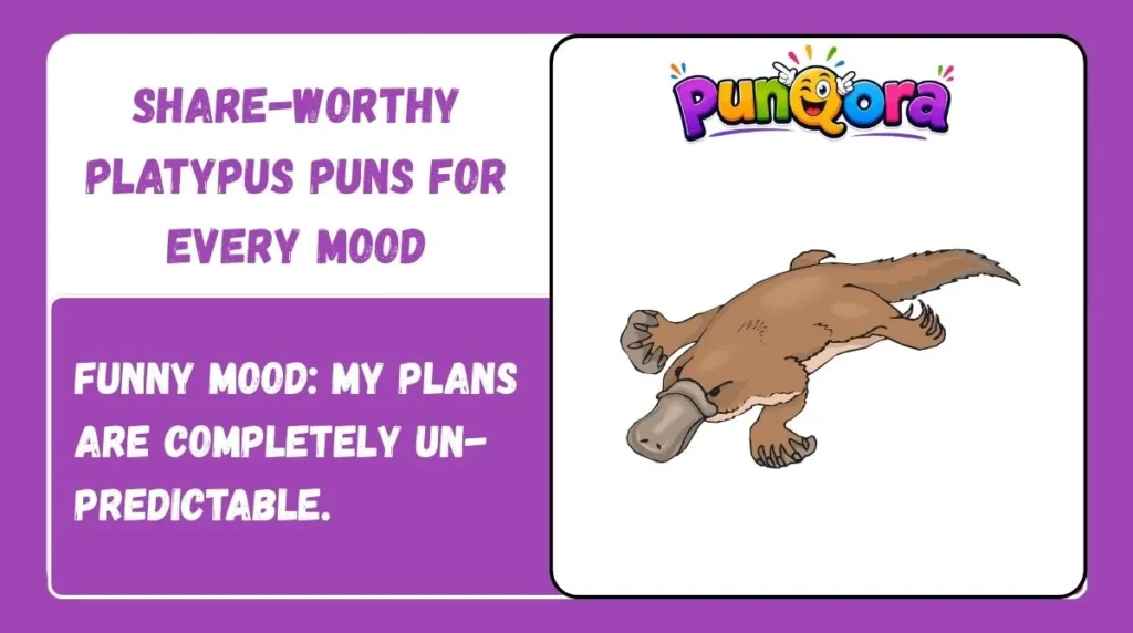 Share-Worthy Platypus Puns for Every Mood