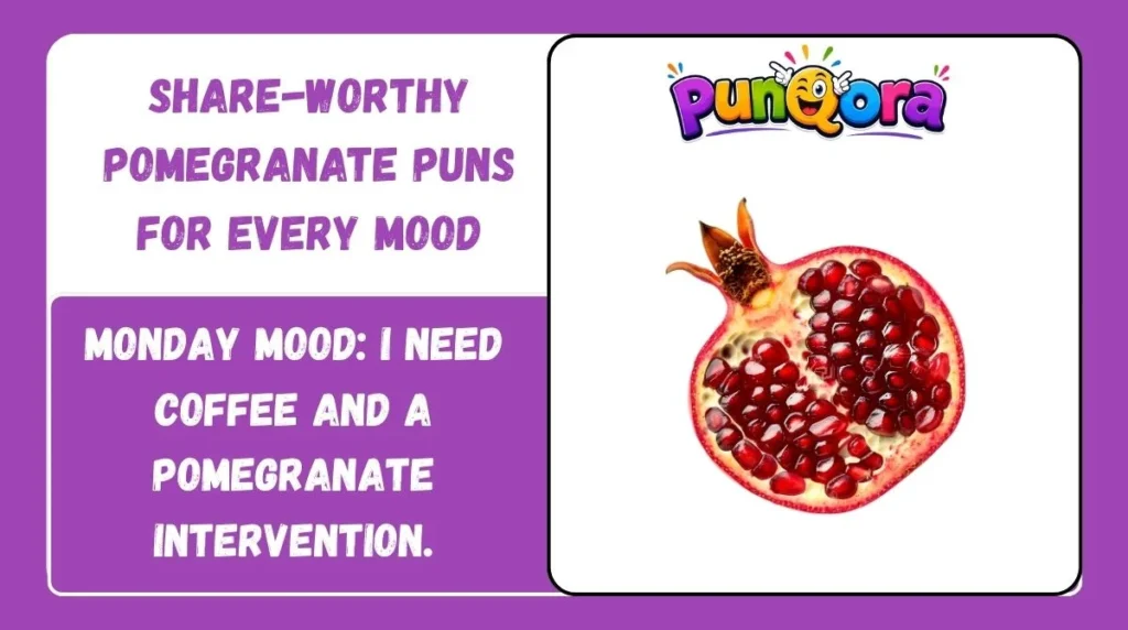 Share-Worthy Pomegranate Puns for Every Mood