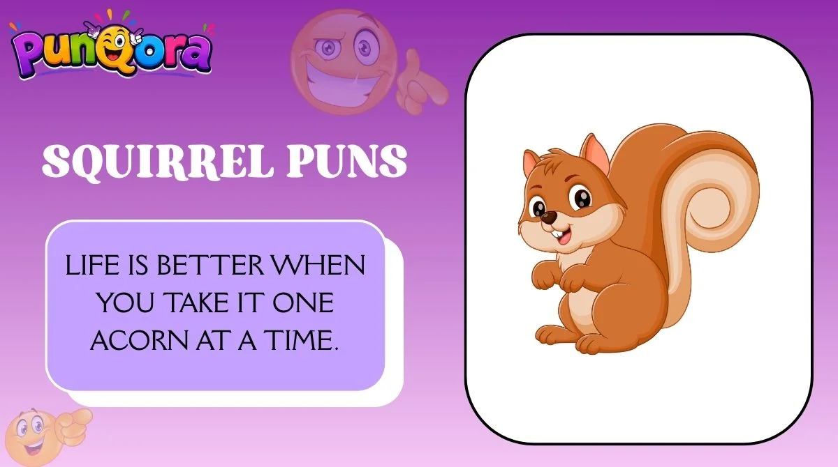 Squirrel Puns