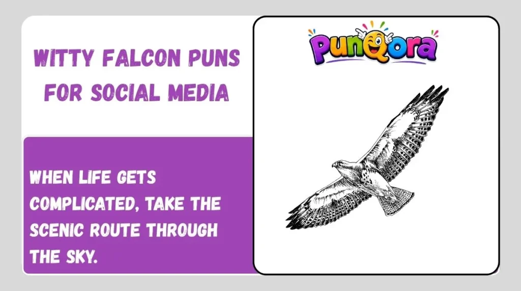 Witty Falcon Puns for Social Media