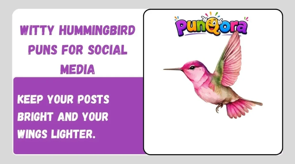 Witty Hummingbird Puns for Social Media