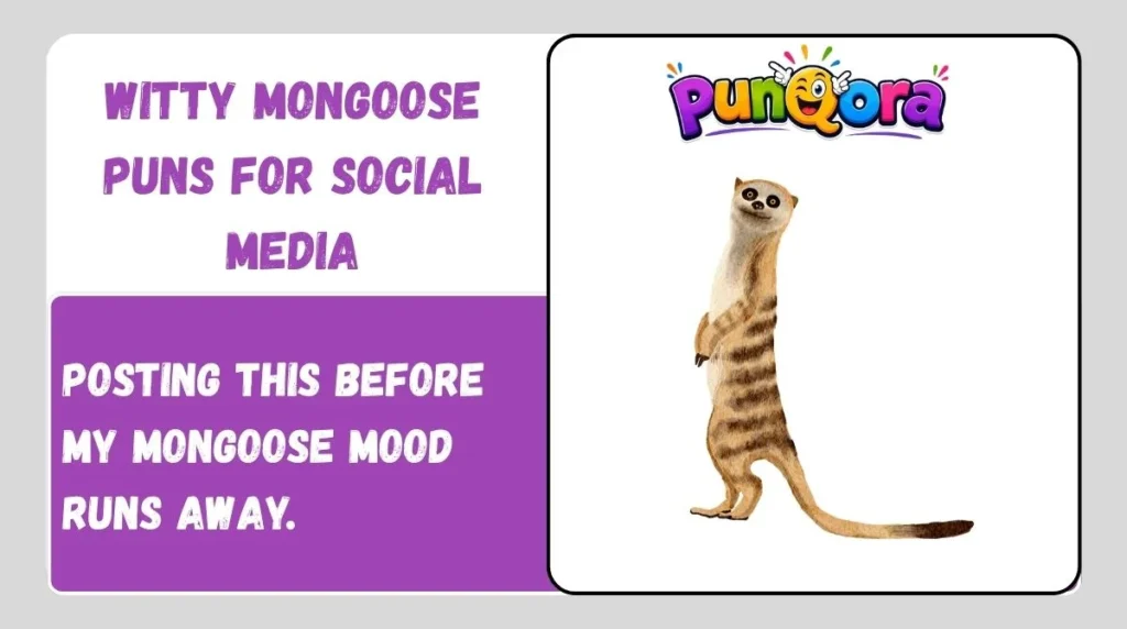 Witty Mongoose Puns for Social Media