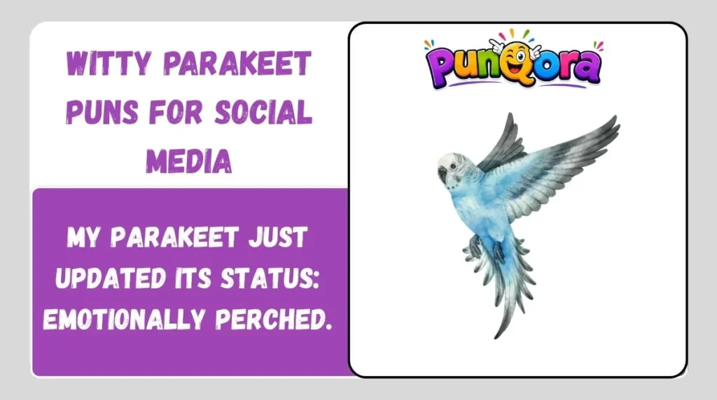 Witty Parakeet Puns for Social Media