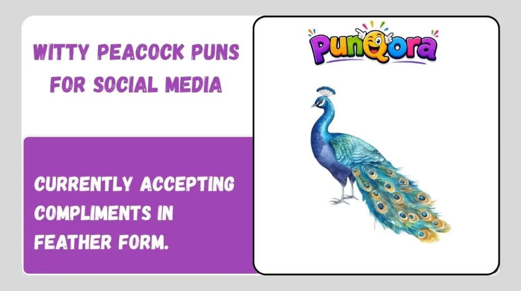 Witty Peacock Puns for Social Media