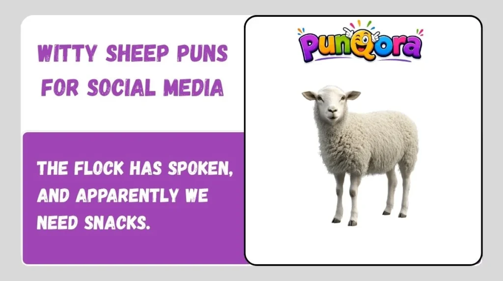 Witty Sheep Puns for Social Media