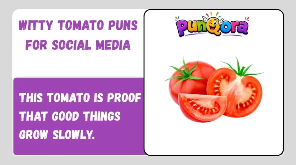 Witty Tomato Puns for Social Media