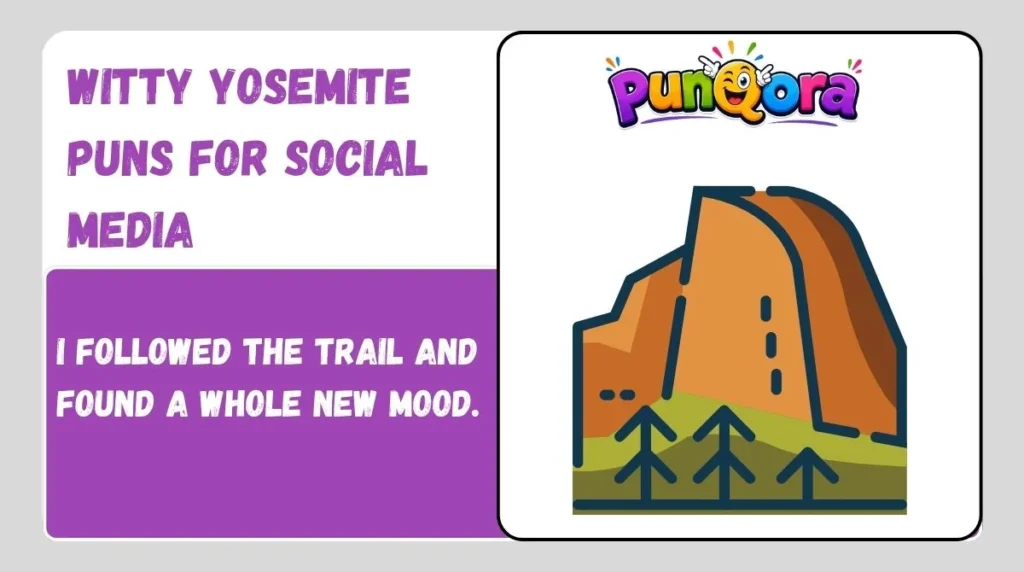 Witty Yosemite Puns for Social Media