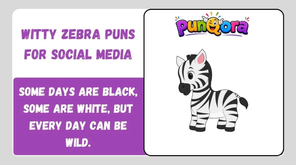 Witty Zebra Puns for Social Media