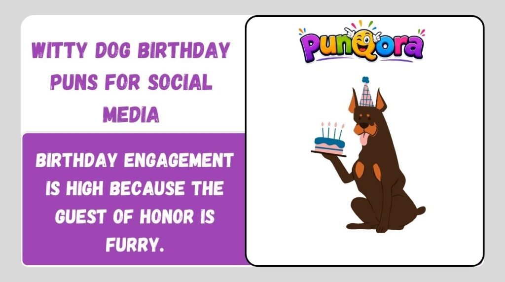 Funny Dog Birthday Puns Captions