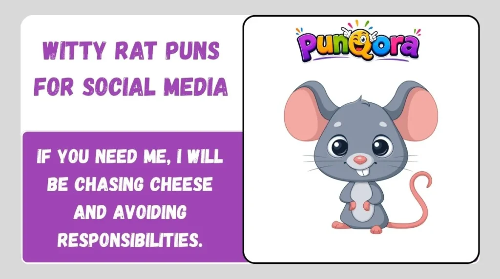 Witty Rat Puns for Social Media