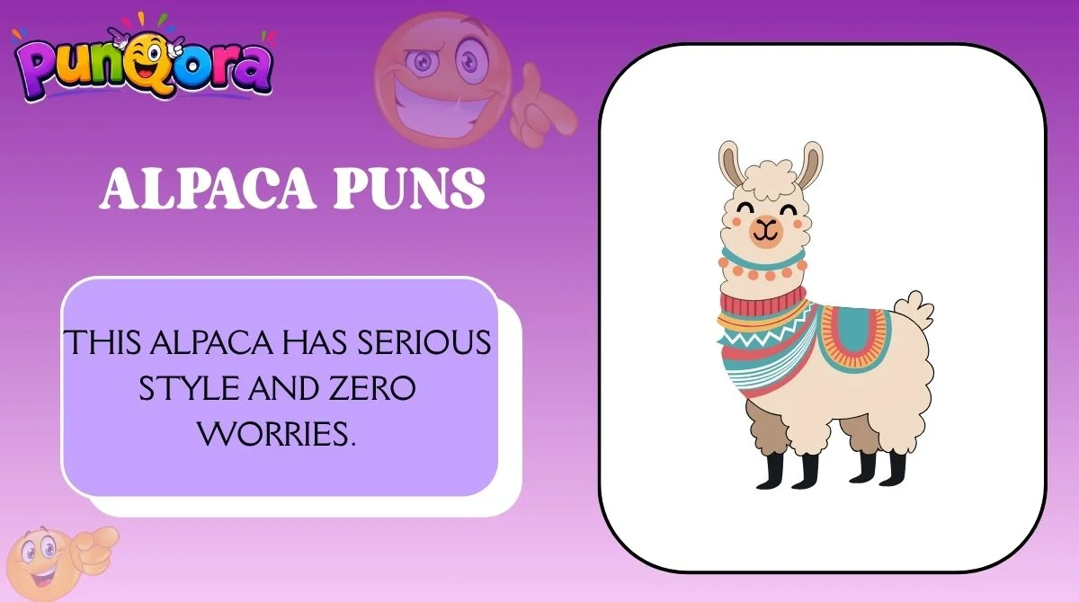 Alpaca Puns