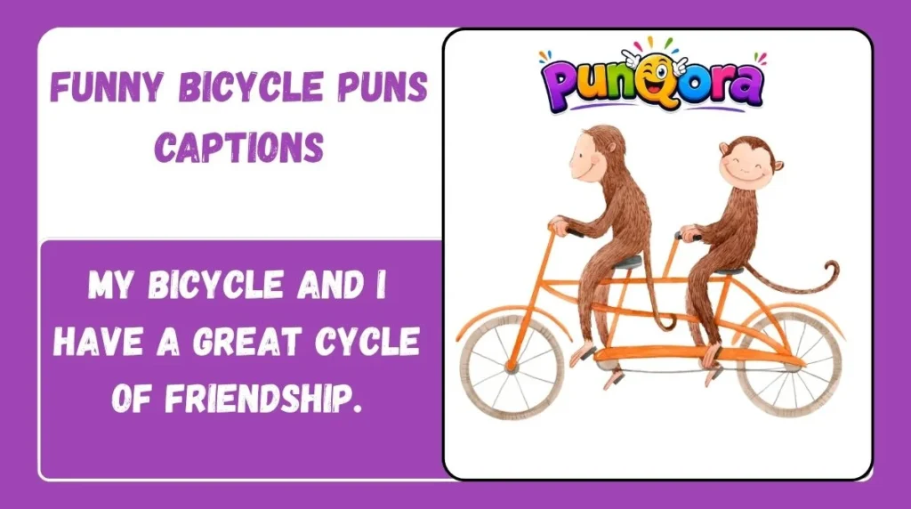 Funny Bicycle Puns Captions