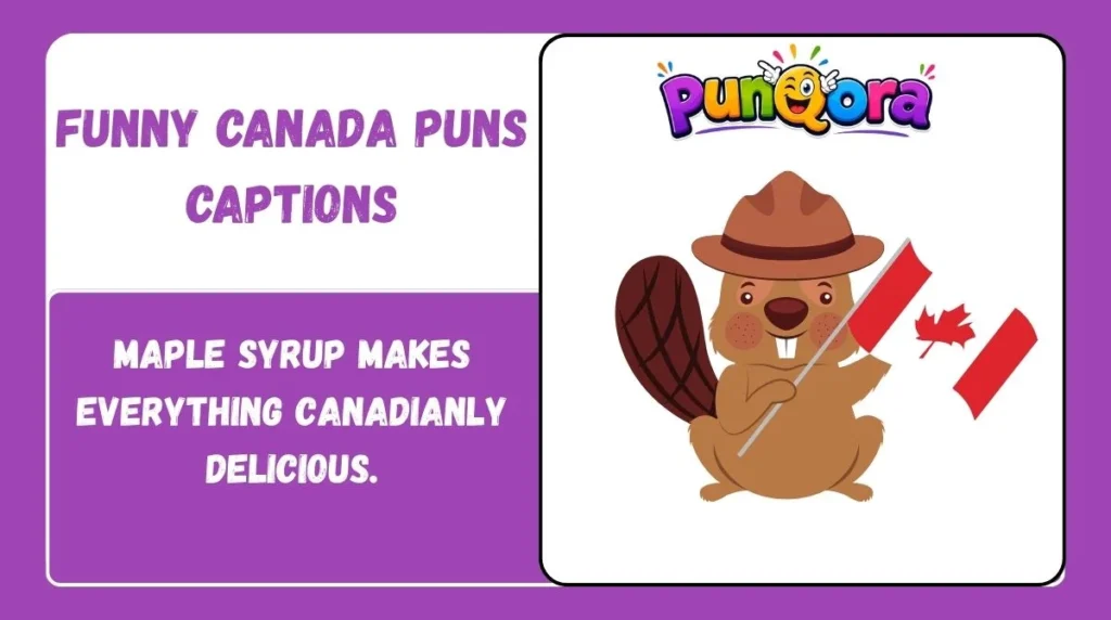 Funny Canada Puns Captions