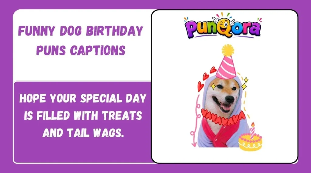 Funny Dog Birthday Puns Captions